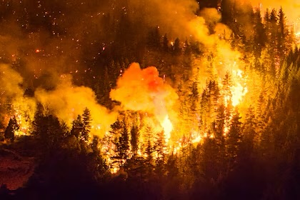 Tras el pedido opositor, el Gobierno declaró por DNU la Emergencia Ígnea para las provincias afectadas por los incendios
