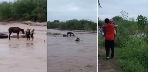 VIDEO: Policía Lacustre rescata a un hombre y su caballo en el río Salí