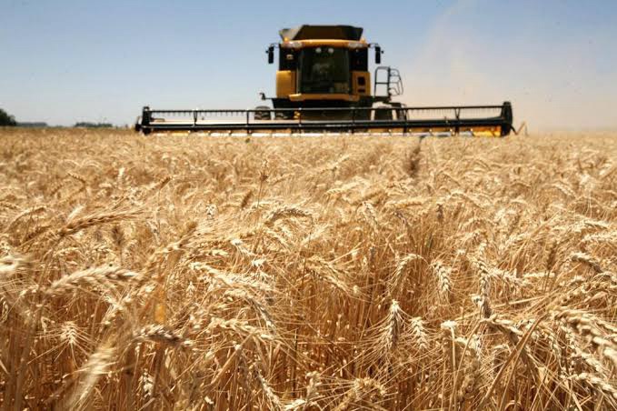 La economía creció 4,4% en 2025, según el INDEC