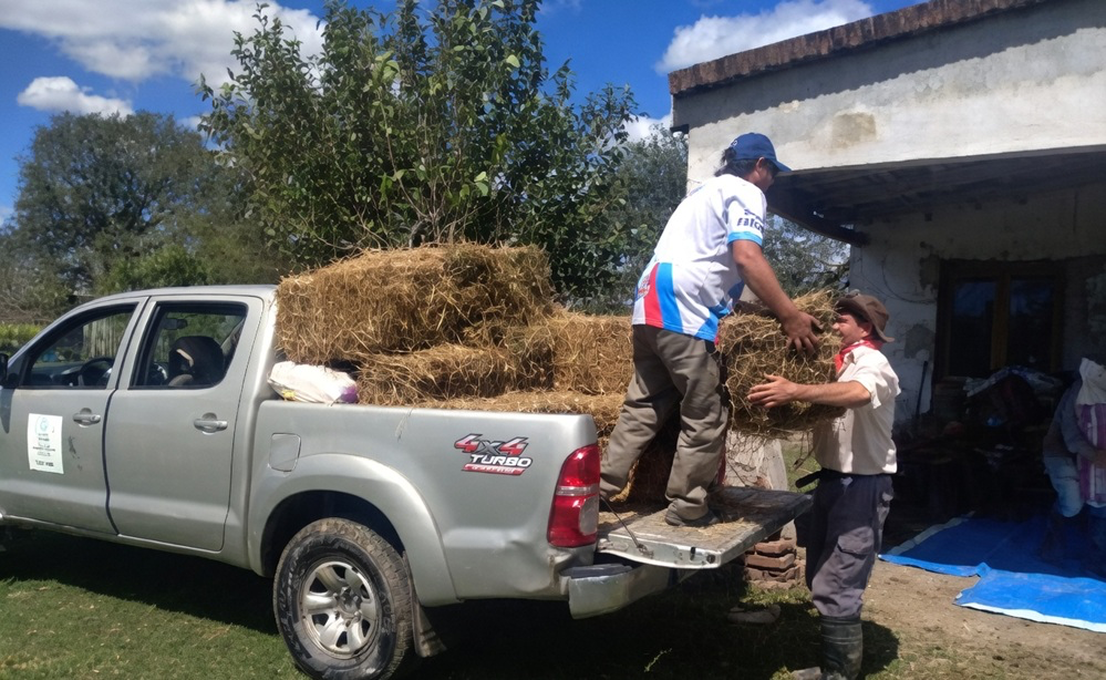 Daños por el temporal: Ganadería y Alimentos continúa dando asistencia a productores en el sur tucumano