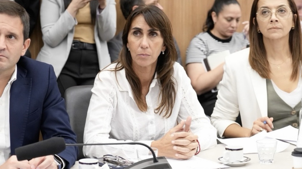 La justicia federal rechazó el planteo de una diputada libertaria en la causa iniciada por jaldo
